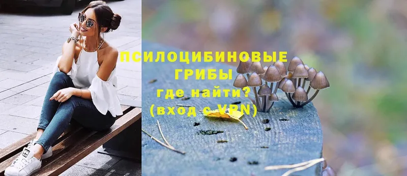 ссылка на мегу ТОР  Алзамай  Псилоцибиновые грибы Psilocybine cubensis  продажа наркотиков 